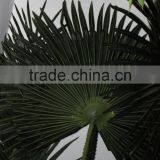 Hot Sale 2.4 Meter Coconut Trees Leaves, Artificial Coconut Trees Leaves thumbnail-2