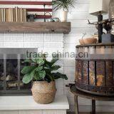 Natural Belly Seagrass Basket / Planter for Home Decoration thumbnail-5