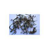 Hot Sale Apigenin thumbnail-1