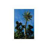 Coconut Tree Tower thumbnail-3