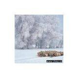 Sell Digital Background thumbnail-1