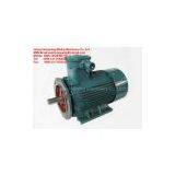 Explosion Proof Electric Motor