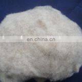 Chinese Sheep Wool Fibre Med Shade(light Grey) 21.5mic/32-34mm thumbnail-2