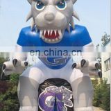 inflatable wildcat animal tunnel for sports advertising