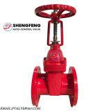 GGG50 GGG40 GG25 Ductile Iron Flanged Rising Stem Gate Valve thumbnail-1