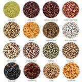 High Capacity Canberry Bean Dehulling Machine 1TPH High Quality Customize Lentil Peeling Machine Blue Peas Husker Split Peas Sheller thumbnail-3