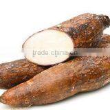 Best Quality Fresh Cassava Root Planter for export