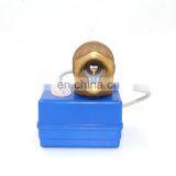 Professional Manufacturer Brass dn 15 1/2 Inch 2 Way DC 5V 12V 24V Water Automatic Control Valve
