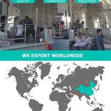 Beijing Youban Youpin Pet Products Co., Ltd company overview - view 3 thumbnail