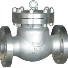 ANSI Cryogenic Check Valve