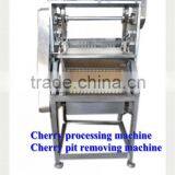 Seed Removing Machine / Cherry Seed thumbnail-3