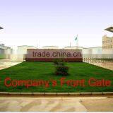 Garlic Oil Softgel thumbnail-2