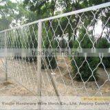 Diamond Wire Mesh (20 Years Manufacturer)