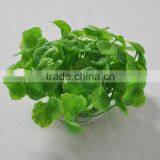 Cheap Water Bottling Plant thumbnail-6