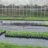 Weed Mat thumbnail-3