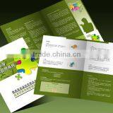 Eco-friendly Paper Printing Promotion Brochure for Advertising