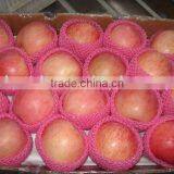 Fuji Apple thumbnail-1