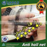 Yemen Used Anti Hail Net / 30102-50