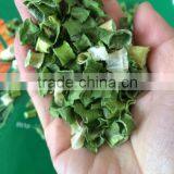 dried spring onion