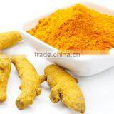 Export Quality Fresh Turmeric Fingers thumbnail-4