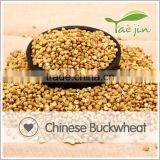 High Quality raw Sweet Buckwheat price