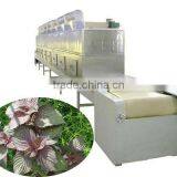 Hot Sale Chamber Electric Conveyor Herbs Leaves Dryer Oven thumbnail-2