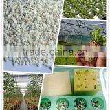 Horticultural Hydroponic Perlite as Growing Media All Sizes High Quality