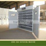 2000 Turky Hatching Machine/egg Incubator and Hatcher for Sale in European