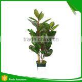 Incredibly Realistic Artificial Rubber Ficus Plant Tree for Home and House thumbnail-2