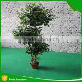 Mini Bonsai Artificial Ficus Ball Tree thumbnail-4