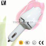 Made in China Air Cleaning Negative Ion Electrostatic Car Air Purifier thumbnail-1