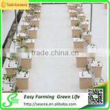 High-tech Hydroponics Machine thumbnail-3