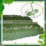 Plastic Coated Steel Garden Stakes 8X600MM