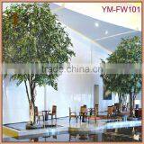 Customized Real Wood Ficus Tree thumbnail-1