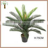 Short Plastic Cycas Palm Tree Bonsai Export thumbnail-1