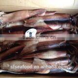 Trawlers for Sale of Japanese Squid thumbnail-1