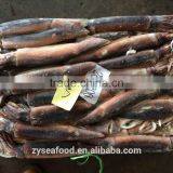 HACCP Frozen Cargo Argentine Squid by Glazing thumbnail-3