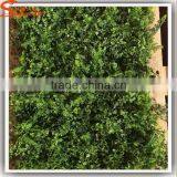 Popular Sale Home or Hotel Decoration Green Wall Vertical Garden Plastic Green Wall thumbnail-5