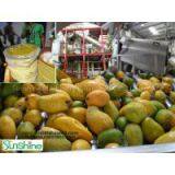 Professional Manufacturer of Mango Peeling Machine, Mango Peeler, Mango Processer, Mango Processing thumbnail-3