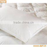50*80 Feather and Down Pillow for Germany