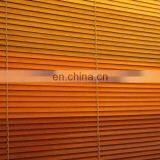 Mini Blinds thumbnail-1