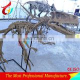 3m Length Life Size Fibrglass Realistic T-rex Dinosaur Fossils
