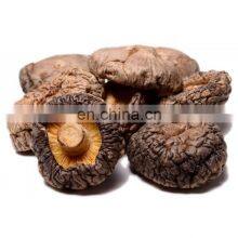 Organic Dried Shiitake Mushroom for Cooking/High Quality Flower Mushroom/Best Prices Dried Shiitake Mushroom From Vietnam thumbnail-3