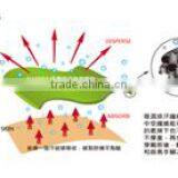 Xiang Hong International Co., Ltd. company overview - view 2 thumbnail
