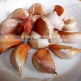 Commercial Garlic Clove Separating Machine|Automatic Garlic Flake Breaking Machine thumbnail-5