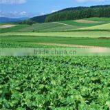 Anqiu Luda International Trade Co., Ltd. company overview - view 2 thumbnail