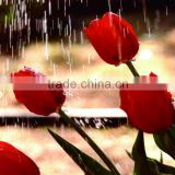 paintings on Glossy Non-woven cloth canvas flowers tulips