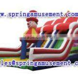Fashion Design Carton Model Inflatable Water Slide, Inflatables SP-SL053