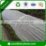 Breathable Fruit Tree Covers of Low Price Fabric Roll Raw Material thumbnail-3