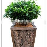 cork flowerpot garden planter